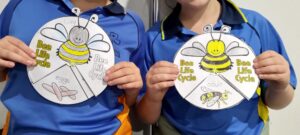 Girls holding completed bee life cycle activity