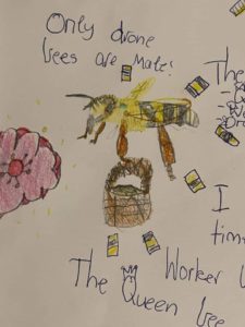 Poster about bees