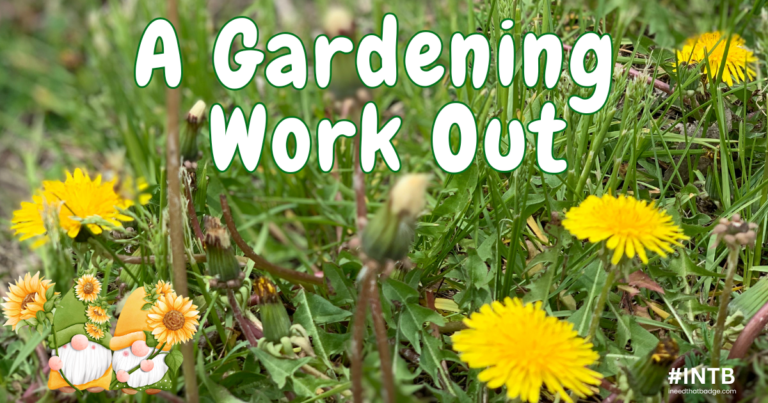 Gardening Workout INTB 2026