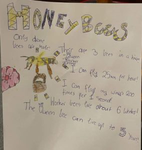 Chart about honey bees