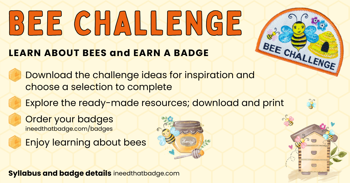 INTB Bee Challenge Instructions 2025