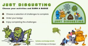 instructions for badge