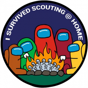 Scouting At Home