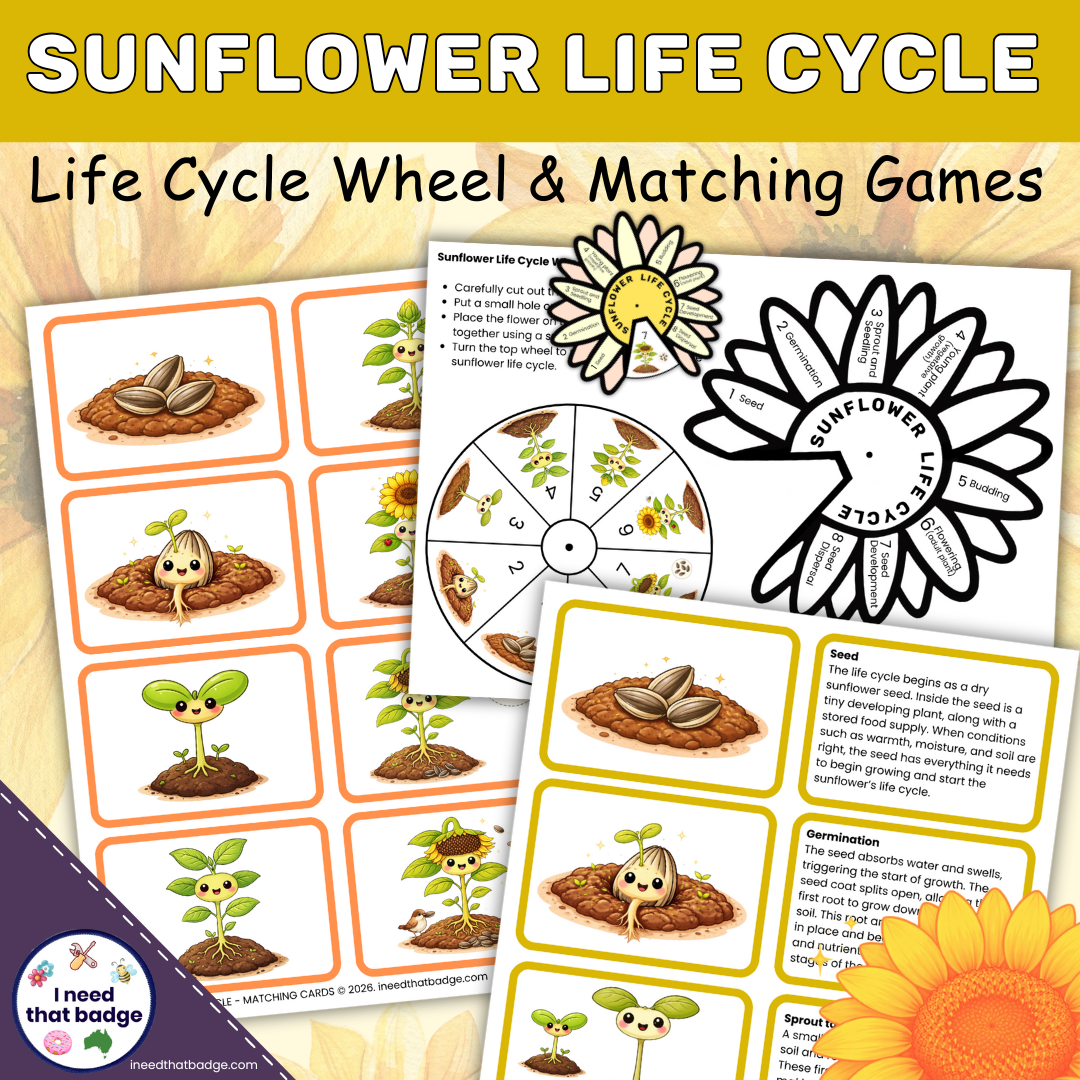 Sunflower Life Cycle Wheel INTB