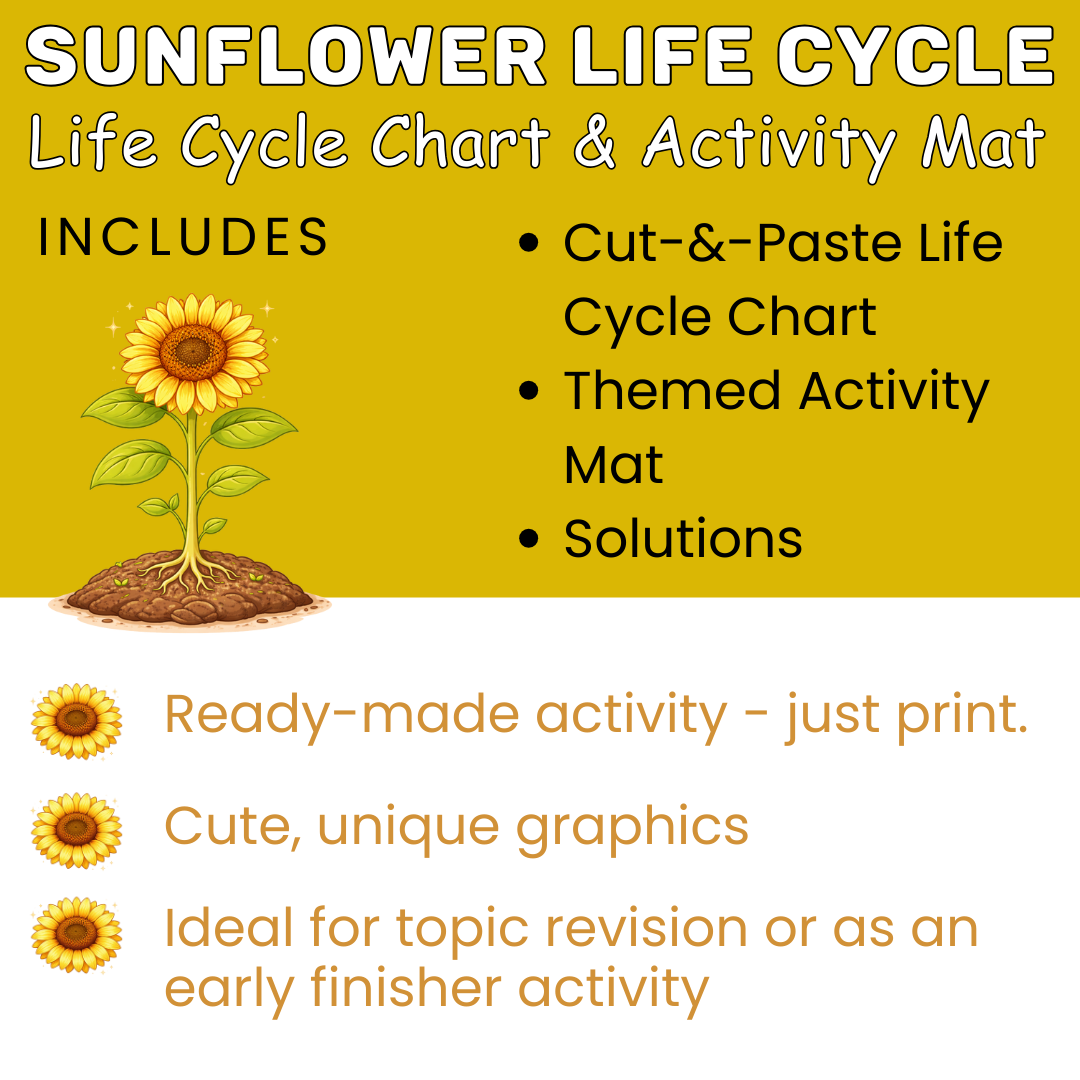 Sunflower Life Cycle Chart & Activity Mat - Image 2