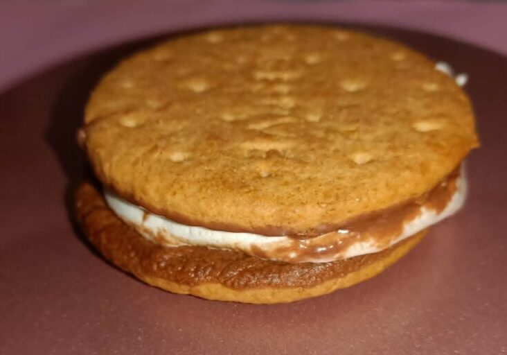 Choc Coated Biscuit Smores CB INTB (1)