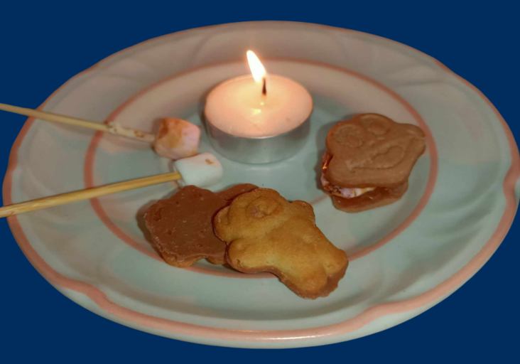 Mini Smores 1