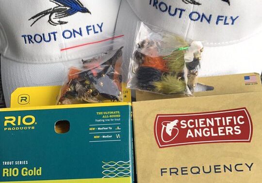 Trout On Fly Merch
