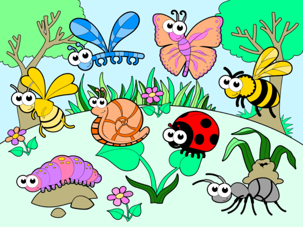 Coloured Bugs INTB