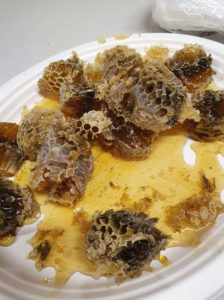 Plate of honeycomb